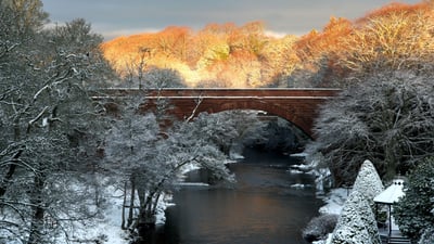 Bing wallpaper January 24, 2026. Burns National Heritage Park, Ayr, Écosse, Royaume-Uni (© Alister Firth/Alamy)
