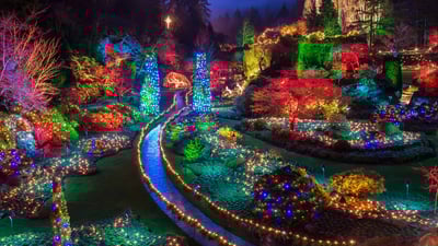 Bing wallpaper December 7, 2020. Christmas lights at the Butchart Gardens in British Columbia (© James Wheeler/Getty Images)