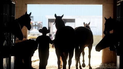 Bing wallpaper July 9, 2021. A cowboy tends to horses in a barn at the Calgary Stampede on July 10, 2011 in Calgary (© Mario Tama/Getty Images)
