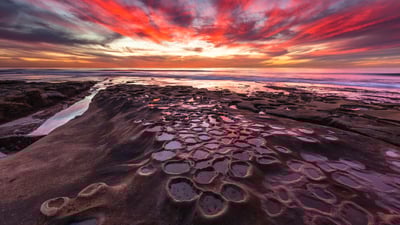 Bing wallpaper August 5, 2025. Tide pools in La Jolla, California, United States (© Andrew Shoemaker/DanitaDelimont.com)