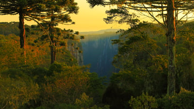 Bing wallpaper April 2, 2025. Cânion Itaimbezinho, Rio Grande do Sul, Brasil (© agustavop/iStock/Getty Images Plus)