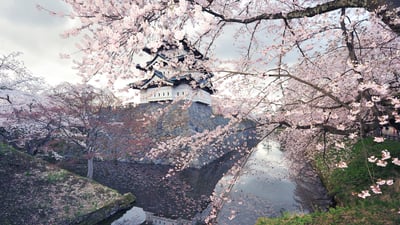 Bing wallpaper April 6, 2026. Hirosaki Castle with cherry blossoms, Hirosaki, Japan (© Glenn Waters/Getty Images)