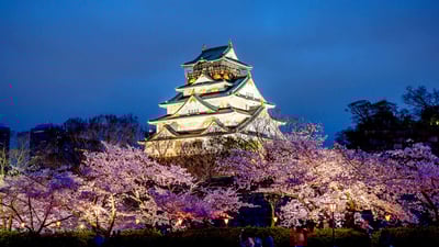 Bing wallpaper April 5, 2022. 桜と大阪城, 大阪 (© Prasit Rodphan/Alamy Stock Photo)