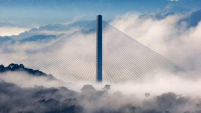 Bing wallpaper November 28, 2021. Centennial Bridge towering above Soberanía National Park, Panama (© David Tipling/Universal Images Group via Getty Images)