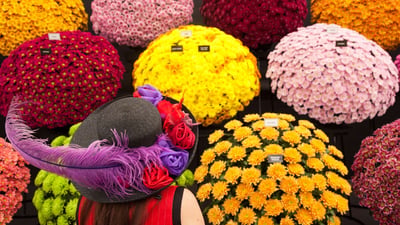 Bing wallpaper May 20, 2024. A woman with a floral hat at the RHS Chelsea Flower Show 2014 (© Bettina Strenske/Alamy Stock Photo)