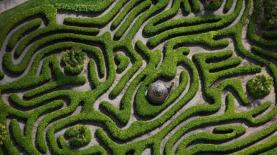 Bing wallpaper June 19, 2019. Aerial view of the cherry laurel maze in Glendurgan Garden, Cornwall, England (© Richard Cooke/Alamy)