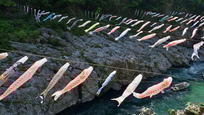 Bing wallpaper May 4, 2024. 大歩危峡に泳ぐ鯉のぼり, 徳島県 (© fz750/Getty Images)