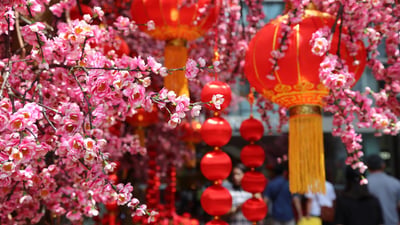 Bing wallpaper January 21, 2023. 春节的桃花和红灯笼 (© David Ng+EyeEm/Getty Images)