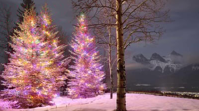 Bing wallpaper December 25, 2024. Christmas trees with the Three Sisters mountain in the background, Canmore, Alberta (© Nick Fitzhardinge/Moment/Getty Images)