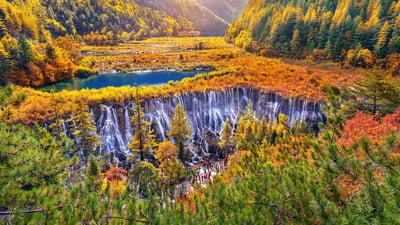 Bing wallpaper August 22, 2025. 秋季九寨沟国家公园里的诺日朗瀑布, 四川省, 中国 (© tawatchaiprakobkit/Getty images)