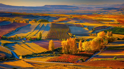Bing wallpaper September 29, 2019. Autumnal landscape near the town of Clavijo in Spain's Rioja wine region (© Olimpio Fantuz/eStock Photo)