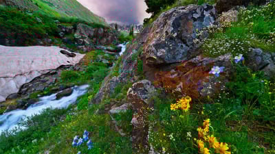 Bing wallpaper July 9, 2020. American Basin in southern Colorado's San Juan Mountains (© Blaine Harrington III/Alamy)