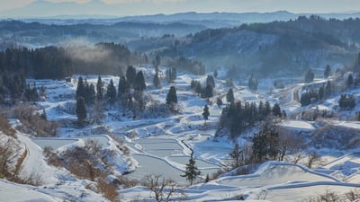 Bing wallpaper January 19, 2026. 雪に覆われた星峠の棚田, 新潟県 十日町市 (© solakoudai/Shutterstock)
