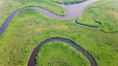 Bing wallpaper September 10, 2019. Aerial view of rainforest and Daintree River, Australia (© Peter Adams/Offset)