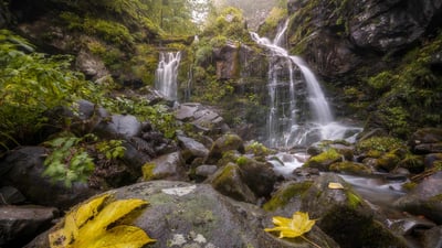 Bing wallpaper December 6, 2023. Dardagna waterfalls, Bologna, Italy (© Alberto Ghizzi Panizza/Minden)