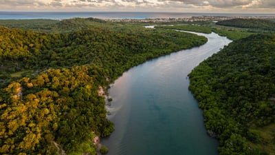 Bing wallpaper May 27, 2025. Rio da Mata Atlântica em Pernambuco (© Pollyana Ventura/Getty Images)