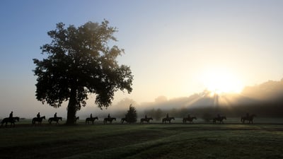 Bing wallpaper June 18, 2022. Cavaliers et leurs chevaux au petit matin, Chantilly, France (© Agencja Fotograficzna Caro/Alamy Stock Photo)
