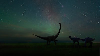 Bing wallpaper August 11, 2021. The Perseid meteor shower photographed at the Dinosaur Museum of Erenhot in Inner Mongolia, China (© bjdlzx/Getty Images)