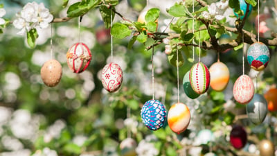 Bing wallpaper April 19, 2025. Viele bunt bemalte Ostereier an einem Apfelbaum (© Kerrick/Getty Images)
