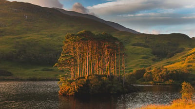 Bing wallpaper April 27, 2022. Dawn light on Eilean Na Mòine island, Loch Eilt, Scotland (© Lilly Husbands/Offset)