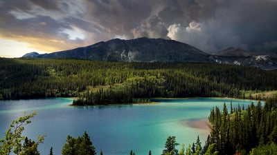 Bing wallpaper August 21, 2023. Emerald Lake, South Klondike Highway, Yukon, Canada (© artherng/Getty Images)