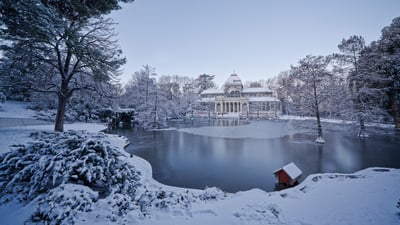 Bing wallpaper January 26, 2026. Retiro Park, Madrid, Spain (© All rights reserved-Copyright/Getty Images)