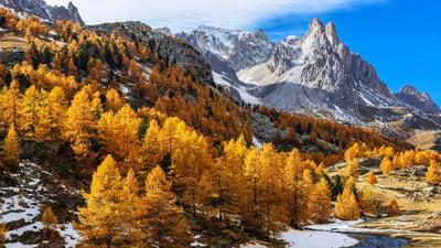 Bing wallpaper October 23, 2019. Vallée de la Clarée, Massif des Cerces, Hautes Alpes, France (© Franck GUIZIOU/Alamy Stock Photo)