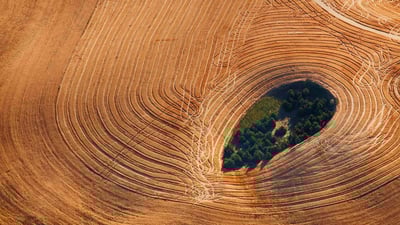 Bing wallpaper August 22, 2019. Farmland in the Palouse, Washington, USA (© Art Wolfe/Getty Images)