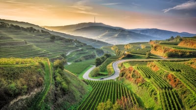 Bing wallpaper September 1, 2025. Kaiserstuhl, Baden-Württemberg, Germany (© EyeEM Mobile GmbH/Getty Images)