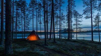 Bing wallpaper August 19, 2019. Muje-Oulu Lake in eastern Finland (© Topi Ylä-Mononen/plainpicture)