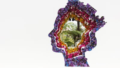 Bing wallpaper June 1, 2022. Floral display in honour of HM Queen Elizabeth II (© Vibrant Pictures/Alamy)