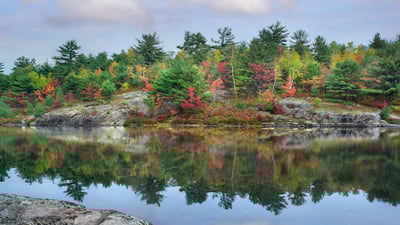 Bing wallpaper September 11, 2023. French River, Ontario, Canada (© Tim Fitzharris/Minden)