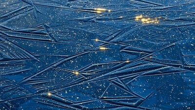 Bing wallpaper November 19, 2023. Alam-Pedja Nature Reserve, Estonia (© Sven Zacek/Minden Pictures)