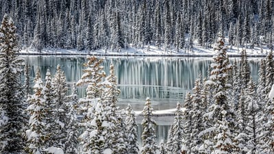 Bing wallpaper February 19, 2022. A frozen lake in Banff National Park (© RuslanKaln/Getty Images)