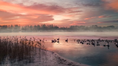 Bing wallpaper December 11, 2024. Gefrorener See bei Wintersonnenaufgang, Deutschland (© Marc_Osborne/Getty Images)