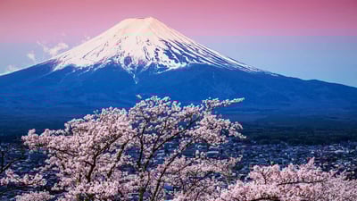 Bing wallpaper February 22, 2022. 富士山と桜, 山梨 富士河口湖町 (© Sanchai Loongroong/Moment/Getty Images)