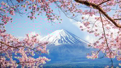 Bing wallpaper March 26, 2020. ｢富士山と桜｣山梨, 河口湖 (© DoctorEgg/Getty Images)