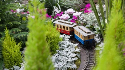 Bing wallpaper December 23, 2019. Train surrounded by Christmas flowers at Allan Gardens Conservatory, Toronto (© bruno135_406/Adobe Stock)