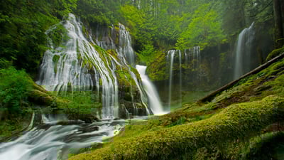 Bing wallpaper May 10, 2022. Panther Creek Falls in spring, Gifford Pinchot National Forest, Washington (© Stephen Matera/Tandem Stills + Motion)