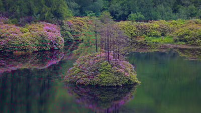 Bing wallpaper June 11, 2021. Small loch in Glen Etive, Scotland (© Oliver Hellowell/Minden Pictures)