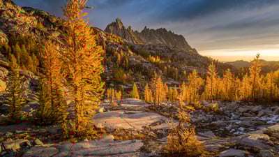 Bing wallpaper October 16, 2023. Golden larches and Prusik Peak, the Enchantments, Washington (© Jim Patterson/Tandem Stills + Motion)