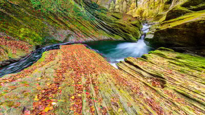 Bing wallpaper October 31, 2020. River running through Cheran Gorges, Alps, Savoie, France (© Jean-Philippe Delobelle/Minden)