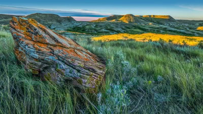 Bing wallpaper July 4, 2023. Grasslands National Park, Saskatchewan, Canada (© Robert Postma/Getty Images)