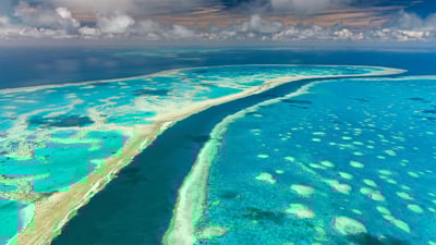 Bing wallpaper June 1, 2020. Great Barrier Reef, Queensland, Australia (© AWL Images/Danita Delimont)