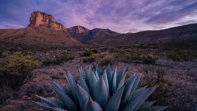 Bing wallpaper April 28, 2024. El Capitan at sunrise in Guadalupe Mountains National Park, Texas (© Adam Mowery/Tandem Stills + Motion)