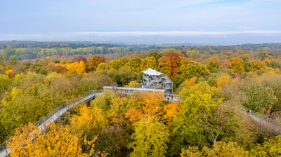 Bing wallpaper September 10, 2021. ｢ハイニッヒ国立公園の遊歩道｣ドイツ, テューリンゲン州 (© mauritius images GmbH/Alamy)