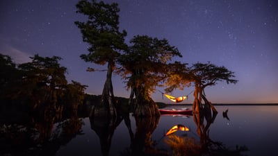 Bing wallpaper July 22, 2024. Hammock camping on a lake in Central Florida (© Mac Stone/Tandem Stills + Motion)