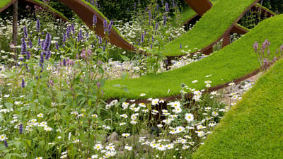 Bing wallpaper July 1, 2024. The World Vision Garden at The Hampton Court Palace Flower Show 2016 (© Ellen Rooney/Alamy Stock Photo)