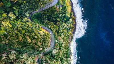 Bing wallpaper January 13, 2024. Road to Hana, Maui, Hawaii (© Matteo Colombo/Getty Images)