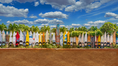 Bing wallpaper August 24, 2021. Old surfboards lined up as a fence near Paia, Maui, Hawaii (© Matt Anderson Photography/Getty Images)